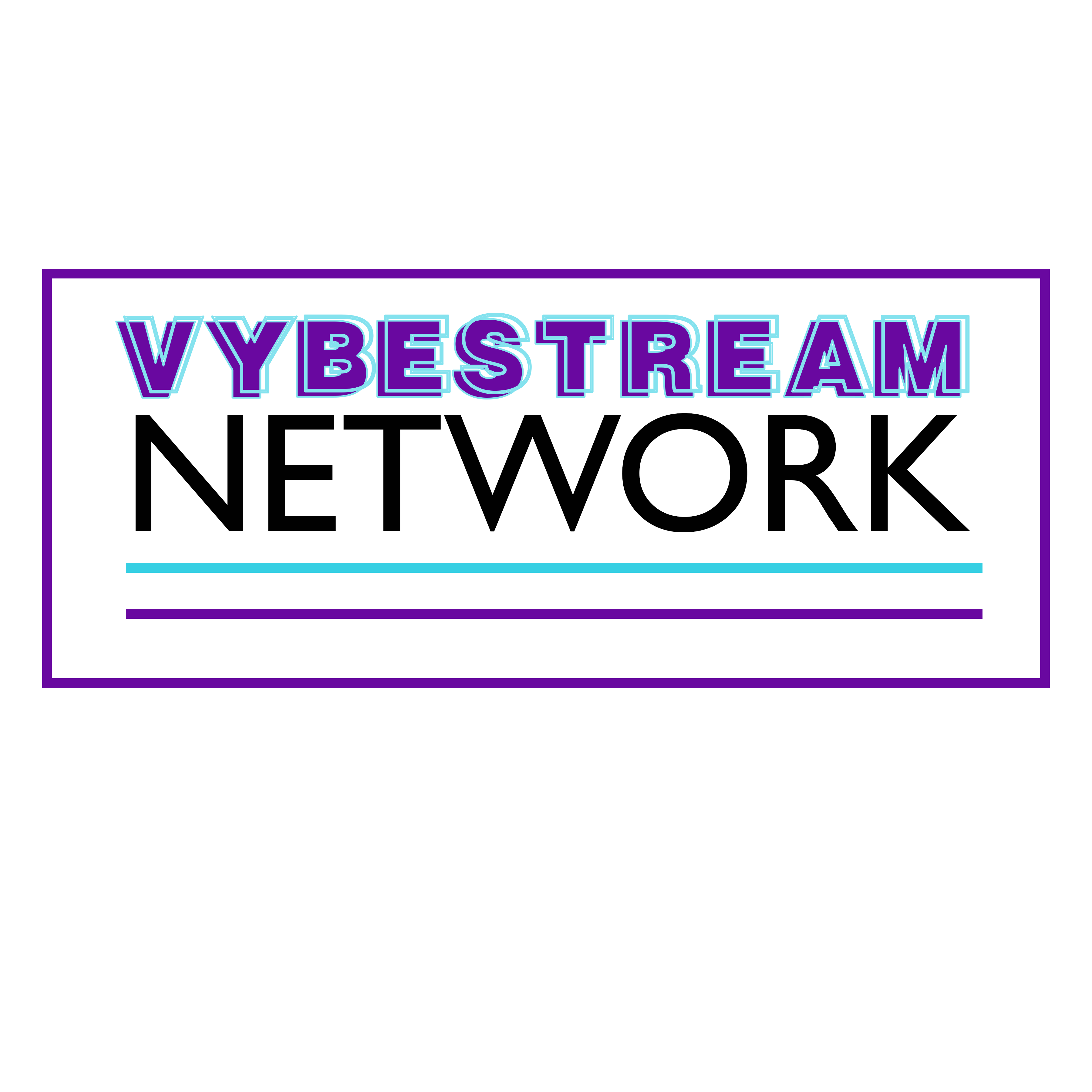 VSNETWORK_LOGO_PNG-1731466393578.png